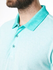Мужская рубашка Pierre Cardin 52844/000/91260, синяя цена и информация | Мужские футболки | kaup24.ee
