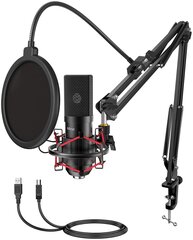 Студийный микрофонный комплект Fifine T732 цена и информация | Микрофоны | kaup24.ee