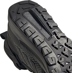 Обувь Adidas Terrex Trailmaker Mid Gtx M FY2229 цена и информация | Кроссовки для мужчин | kaup24.ee