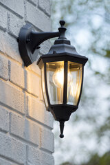 Наружный светильник Tireno Down цена и информация | Уличное освещение | kaup24.ee