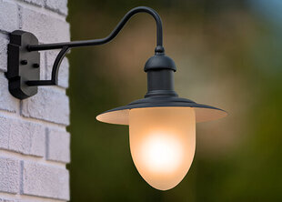 Наружный светильник Aruba цена и информация | Уличное освещение | kaup24.ee