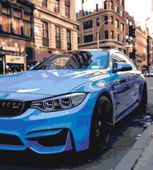 Kартины по номерам BMW цена и информация | Живопись по номерам | kaup24.ee