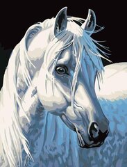 Kартины по номерам Белая лошадь цена и информация | Живопись по номерам | kaup24.ee