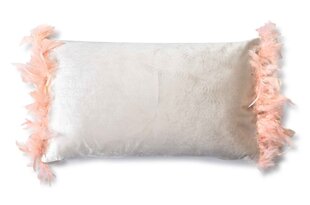 Dekoratiivpadi Loreta Beige Feather, 50x30 cm цена и информация | Декоративные подушки и наволочки | kaup24.ee