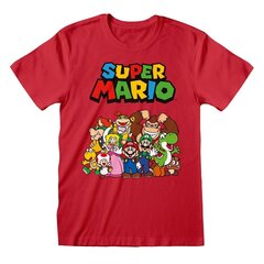 Nintendo Super Mario - Main Character Group цена и информация | Атрибутика для игроков | kaup24.ee