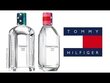 Tualettvesi Tommy Hilfiger Tommy Girl Summer 2016 EDT naistele 100 ml hind ja info | Naiste parfüümid | kaup24.ee