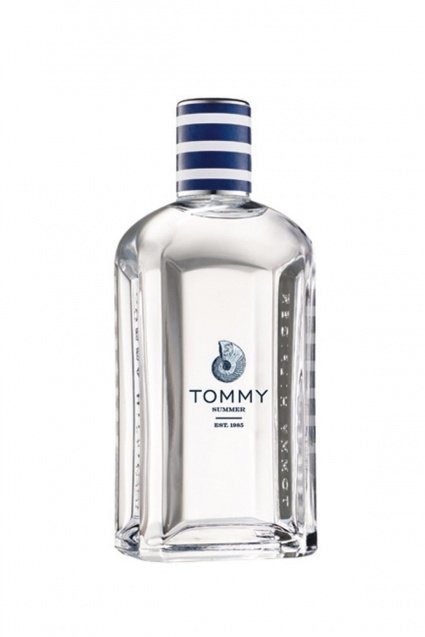 Tommy Hilfiger Tommy Summer 2016 EDT meestele 100 ml hind ja info | Meeste parfüümid | kaup24.ee