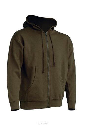 Kapuutsiga Dressipluus Hooded, khaki XXL цена и информация | Meeste pusad | kaup24.ee