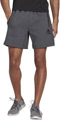 Шорты Adidas M Mt Shorts Grey GM2089/XL цена и информация | Мужские шорты | kaup24.ee