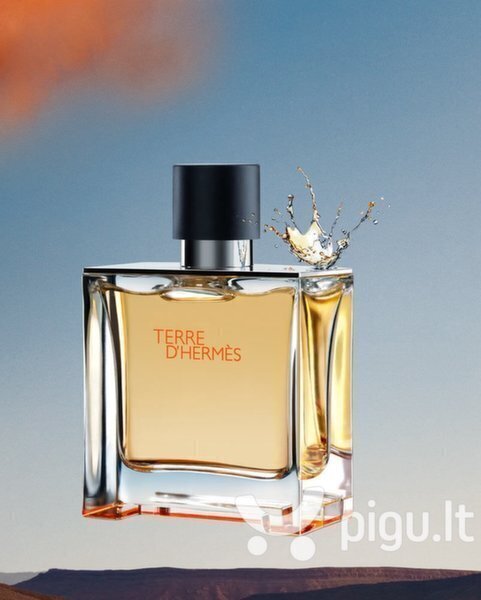 Tualettvesi Hermes Terre D'hermes EDT meestele 100 ml hind ja info | Meeste parfüümid | kaup24.ee