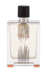 Туалетная вода Hermes Terre D'hermes EDT для мужчин, 100 мл цена и информация | Мужские духи | kaup24.ee