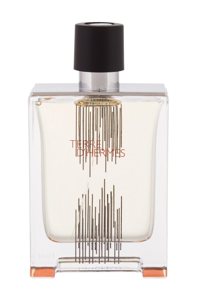 Tualettvesi Hermes Terre D'hermes EDT meestele 100 ml hind ja info | Meeste parfüümid | kaup24.ee