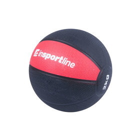 Весовой мяч inSPORTline MB63, 4 кг цена и информация | Медболы | kaup24.ee