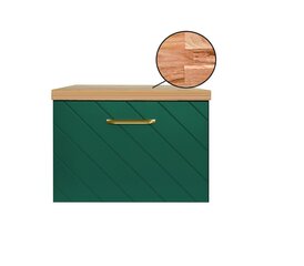 Vannitoakapp Besco Floo 60 koos Oak tööpinnaga, roheline/kuldne цена и информация | Шкафчики для ванной | kaup24.ee