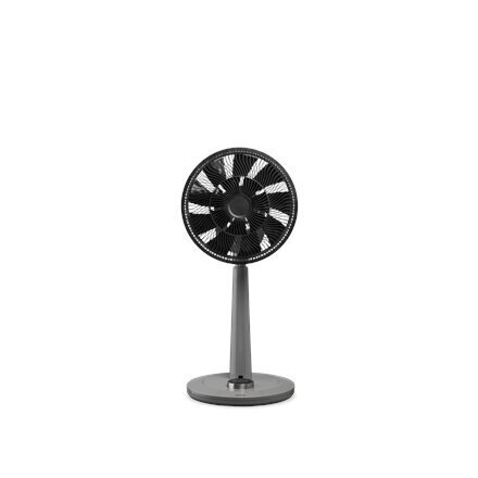 Ventilaator Duux Whisper Grey DXCF09 цена и информация | Ventilaatorid | kaup24.ee