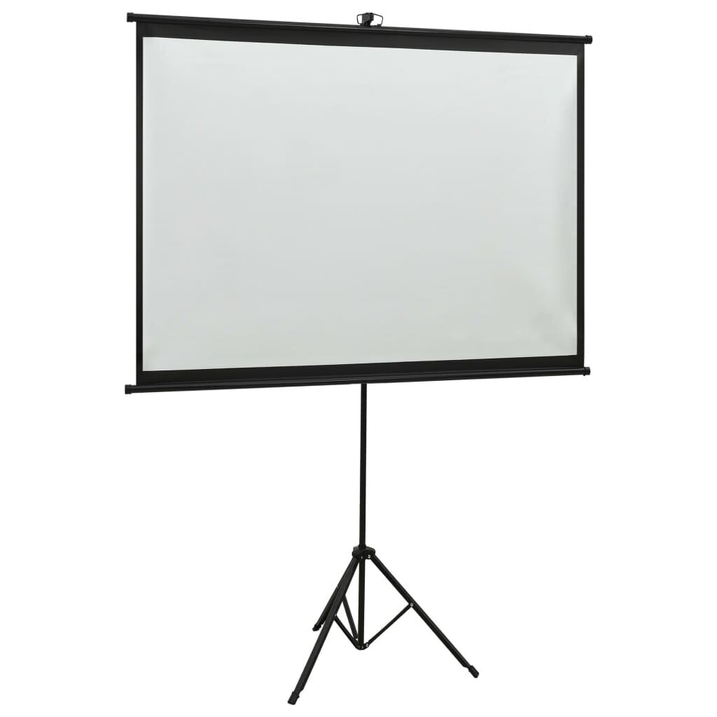 vidaXL projektori ekraan statiiviga, 47" 1:1 цена и информация | Projektori ekraanid | kaup24.ee