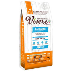 Large breed dog food with Vivere salmon 12kg цена и информация | Сухой корм для собак | kaup24.ee