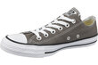 Spordijalatsid Converse Chuck Taylor All Star, hall цена и информация | Spordi- ja vabaajajalatsid meestele | kaup24.ee