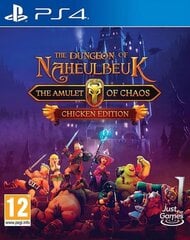 PlayStation 4 Mäng Dungeon of Naheulbeuk: The Amulet of Chaos - Chicken Edition hind ja info | Arvutimängud, konsoolimängud | kaup24.ee