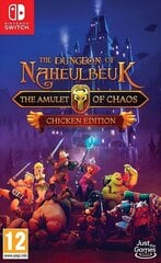 SWITCH Dungeon of Naheulbeuk: The Amulet of Chaos - Chicken Edition цена и информация | Компьютерные игры | kaup24.ee