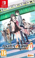 Nintendo Switch mäng Akiba's Trip: Hellbound & Debriefed цена и информация | Компьютерные игры | kaup24.ee