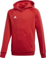 Толстовка adidas CORE 18 Jr CV3431 Bluza цена и информация | Свитеры, жилетки, пиджаки для мальчиков | kaup24.ee