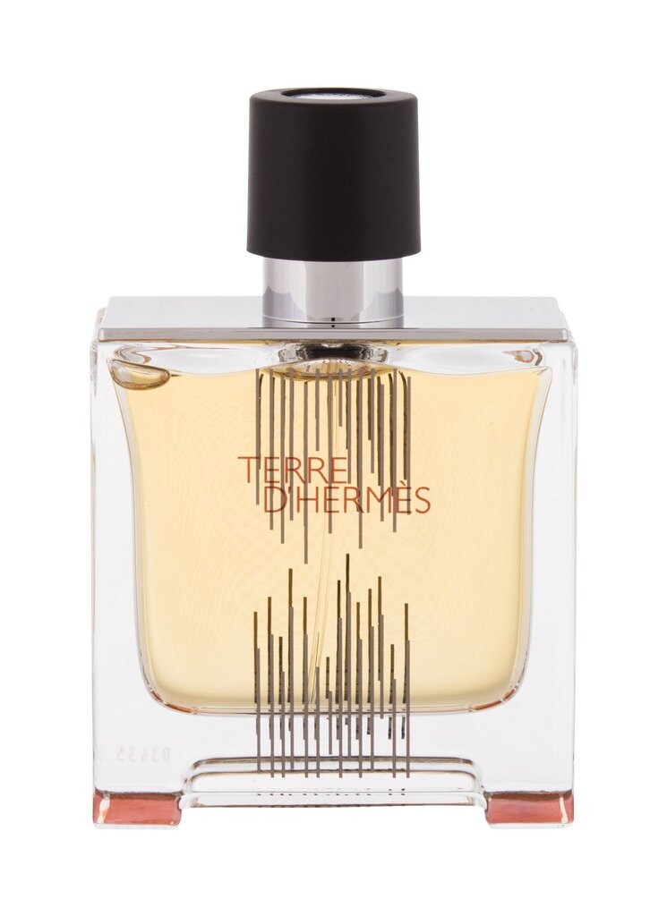 Parfüümvesi Hermes Terre D'hermes EDT meestele 75 ml hind ja info | Meeste parfüümid | kaup24.ee