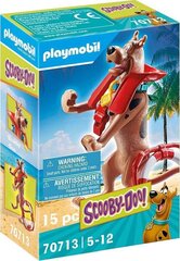 70713 PLAYMOBIL® Scooby-Doo! Коллекционная фигурка спасателя цена и информация | Конструкторы и кубики | kaup24.ee