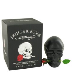 Tualettvesi Christian Audigier Ed Hardy Skulls & Roses EDT meestele 100 ml hind ja info | Meeste parfüümid | kaup24.ee