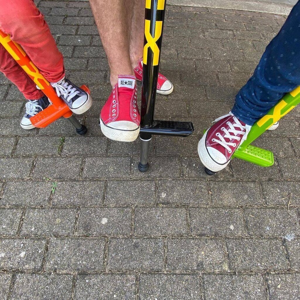 Qu-Ax V200 Pogo stick hind ja info | Mänguasjad (vesi, rand ja liiv) | kaup24.ee