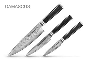 Комплект ножей Samura DAMASCUS, 3 шт. цена и информация | Подставка для ножей Tescoma Woody, 21 см | kaup24.ee