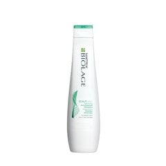 Matrix Biolage Scalp Sync Anti Dandruff šampoon naistele 250 ml цена и информация | Шампуни | kaup24.ee