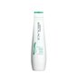 Matrix Biolage Scalp Sync Anti Dandruff šampoon naistele 250 ml цена и информация | Šampoonid | kaup24.ee