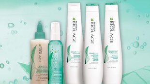 Шампунь от перхоти Matrix Biolage ScalpSync Anti Dandruff, 250 мл цена и информация | Шампуни | kaup24.ee