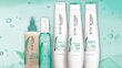 Matrix Biolage Scalp Sync Anti Dandruff šampoon naistele 250 ml цена и информация | Šampoonid | kaup24.ee