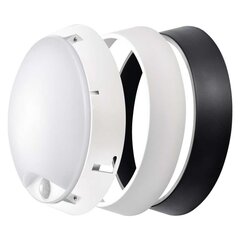 LED PLAFOON EMOS SEINALE ANDUR 14W IP54 NW цена и информация | Монтируемые светильники, светодиодные панели | kaup24.ee