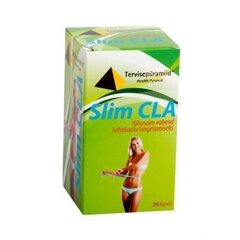 Пищевая добавка Slim CLA, N30 цена и информация | Добавки и препараты для похудения | kaup24.ee
