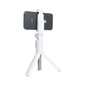 Selfie Stick / Statiiv Tripod / Selfie Stick koos juhtmevaba kaugjuhtimispuldiga SSTR-12 цена и информация | Selfie sticks | kaup24.ee