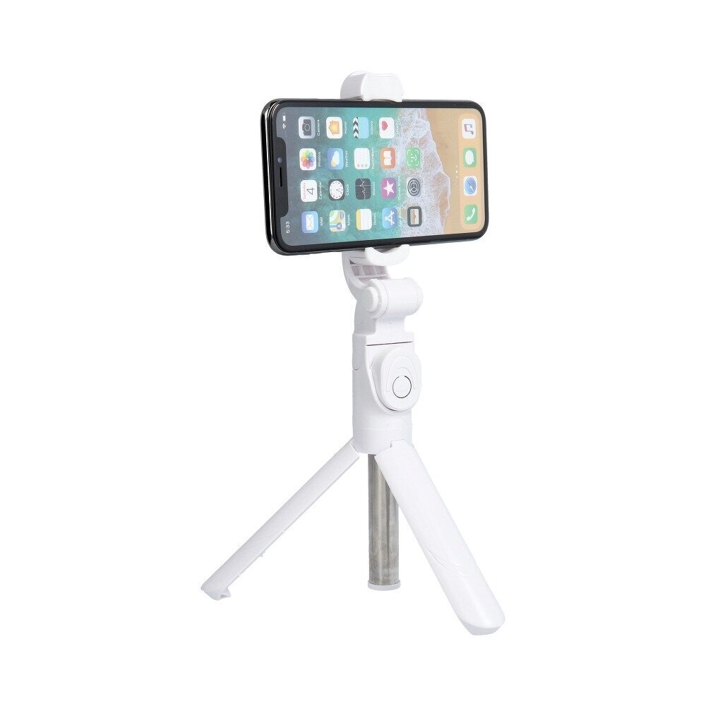 Selfie Stick / Statiiv Tripod / Selfie Stick koos juhtmevaba kaugjuhtimispuldiga SSTR-12 цена и информация | Selfie sticks | kaup24.ee