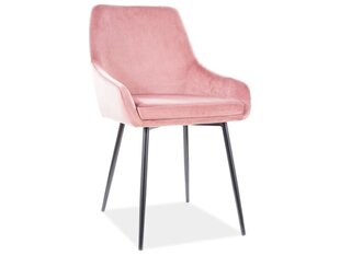 4-osaline toolide komplekt Signal Meble Albi, roosa hind ja info | Söögitoolid, baaritoolid | kaup24.ee