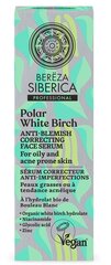 Seerum rasusele ja probleemsele näonahale Natura Siberica Polar White Birch Anti-blemish correcting face serum, 30 ml цена и информация | Сыворотки для лица, масла | kaup24.ee