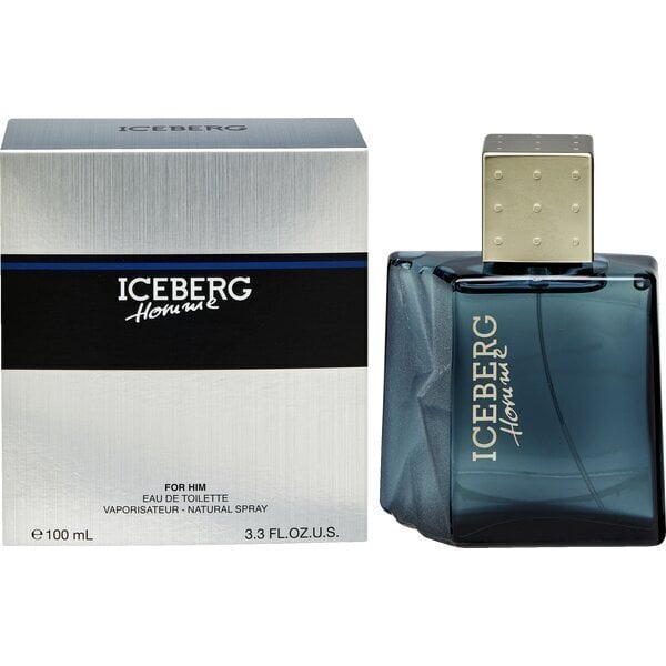 Tualettvesi Iceberg Homme EDT meestele, 100 ml цена и информация | Meeste parfüümid | kaup24.ee