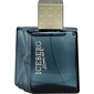 Tualettvesi Iceberg Homme EDT meestele, 100 ml цена и информация | Meeste parfüümid | kaup24.ee