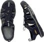 Meeste sandaalid Keen Clearwater CNX, sinine hind ja info | Meeste plätud, sussid | kaup24.ee