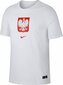 Meeste T-särk Nike Poland Tee Evergreen Crest, valge hind ja info | Meeste T-särgid | kaup24.ee