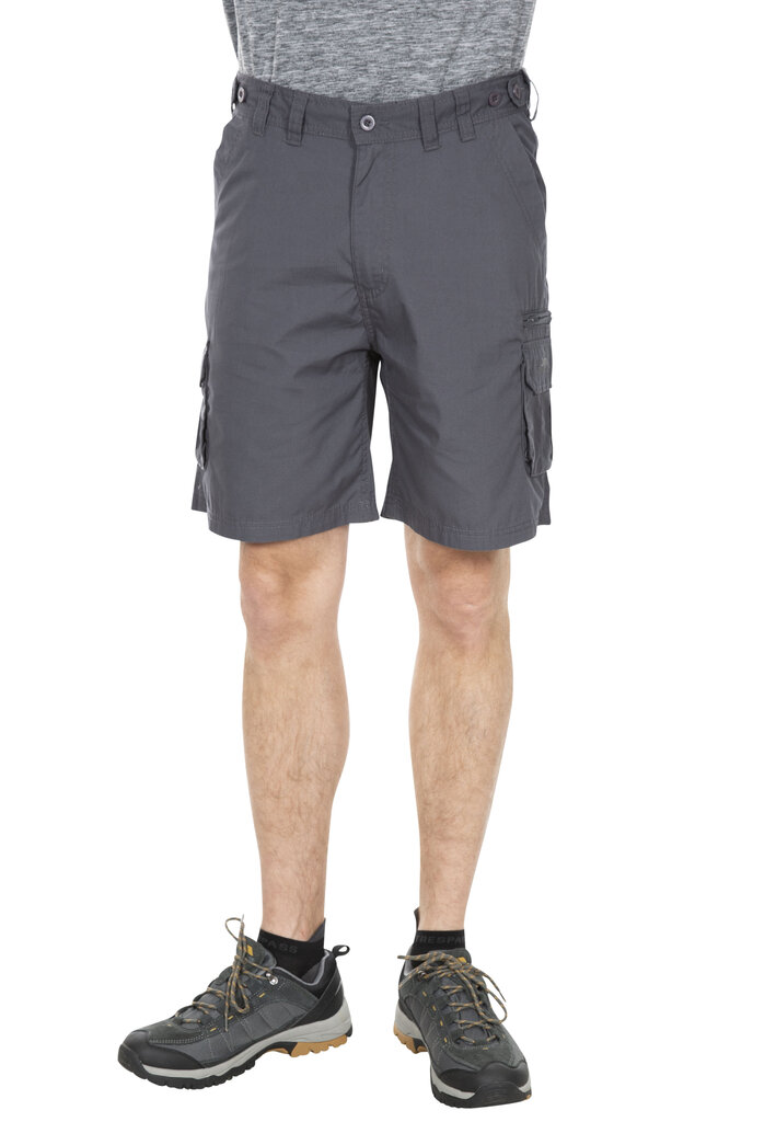 Meeste lühikesed püksid Gally Male Shorts TP75 MABTSHG10017-GRA.L hind ja info | Meeste lühikesed püksid | kaup24.ee