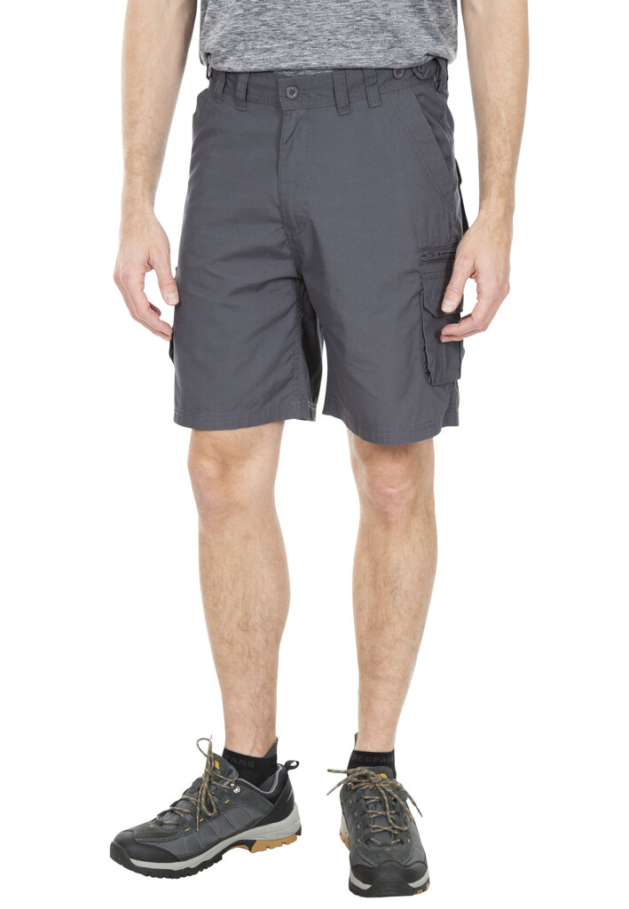 Meeste lühikesed püksid Gally Male Shorts TP75 MABTSHG10017-GRA.L hind ja info | Meeste lühikesed püksid | kaup24.ee