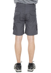 Meeste lühikesed püksid Gally Male Shorts TP75 MABTSHG10017-GRA.L цена и информация | Мужские шорты | kaup24.ee