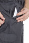 Meeste lühikesed püksid Gally Male Shorts TP75 MABTSHG10017-GRA.L hind ja info | Meeste lühikesed püksid | kaup24.ee