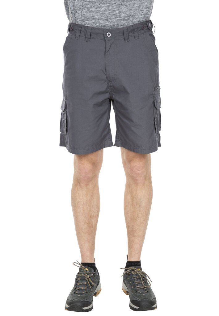 Meeste lühikesed püksid Gally Male Shorts TP75 MABTSHG10017-GRA.L hind ja info | Meeste lühikesed püksid | kaup24.ee